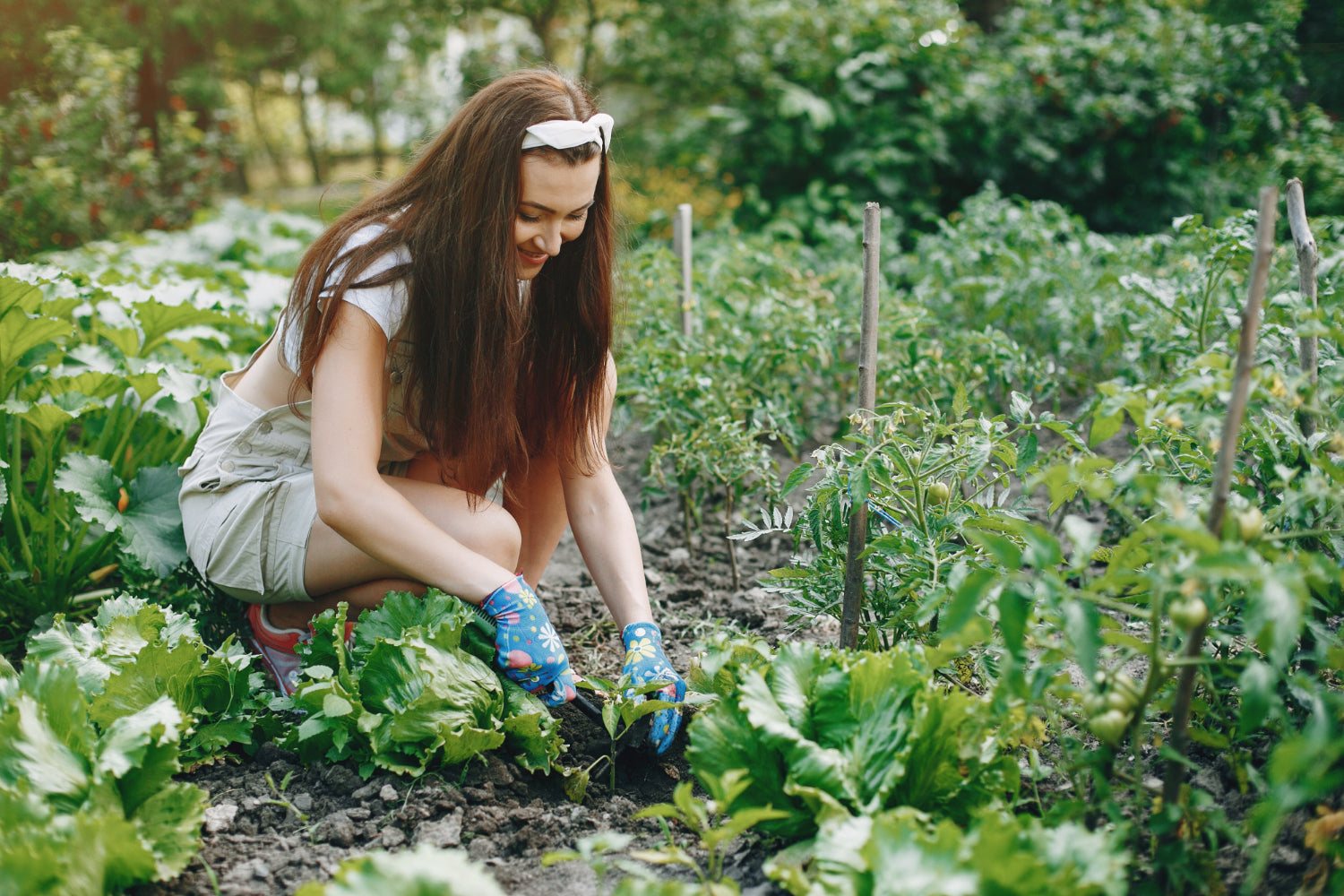 20 Fast-Growing Vegetables You Can Harvest in Under 60 Days