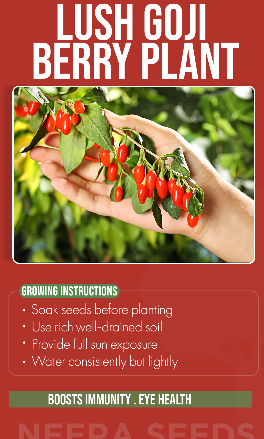 Goji Berry Seeds for Planting USA | Heirloom Non-GMO High Germination  Organic Garden Seeds  Neeraseeds