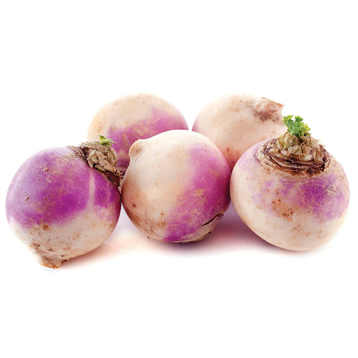 Rutabaga American Purple Seeds – Heirloom, High-Yield Root Vegetable for Home Gardens
