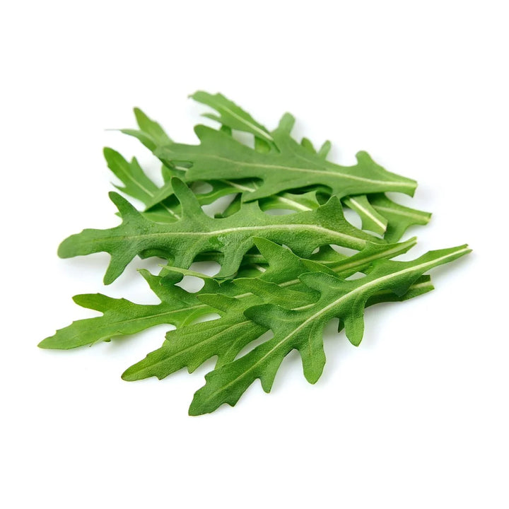 Arugula Rocket Seeds for Planting – Fast-Growing Heirloom Leafy Greens