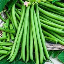 Vegetable Seeds, Seeds for Planting, Plant Seeds