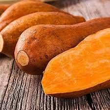 sweet potato plant seeds Orange Yellow Sweet Potato Seeds for Planting – Heirloom, Non-GMO Organic Garden Seeds