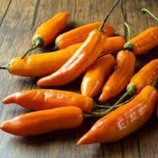 Vegetable Seeds, Seeds for Planting, Plant Seeds