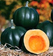 Vegetable Seeds, Seeds for Planting, Plant Seeds