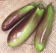 Vegetable Seeds, Seeds for Planting, Plant Seeds