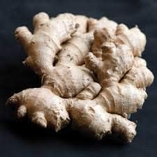 ginger seeds for planting Cream Ginger Seeds for Planting – Heirloom, Non-GMO, High Germination – Neeraseeds