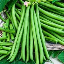 Vegetable Seeds, Seeds for Planting, Plant Seeds
