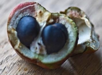 Flower Seeds, Seeds for Planting, Plant Seeds