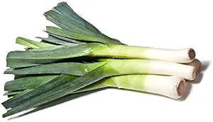 Leek American Flag Seeds – Heirloom, Non-GMO, Mild-Sweet Flavor