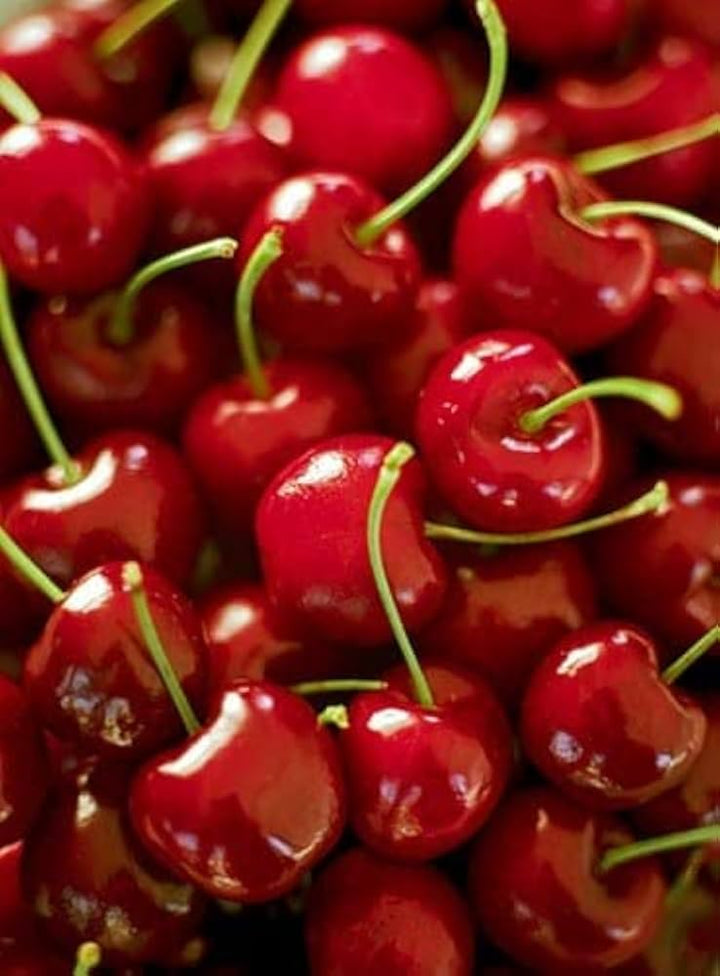 Barry’s Cherry Fruit Seeds for Planting – Sweet, Juicy Cherries, 100 pcs, Heirloom & Non-GMO, High Germination