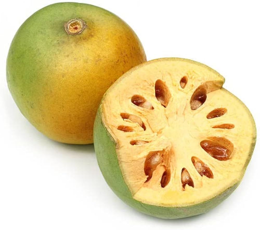 Aegle Marmelos Fruit Seeds for Planting | Heirloom Non-GMO Organic Seeds for Unique, Aromatic Garden Fruits