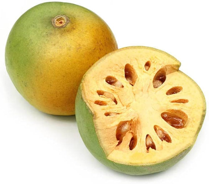 Aegle Marmelos Fruit Seeds for Planting | Heirloom Non-GMO Organic Seeds for Unique, Aromatic Garden Fruits