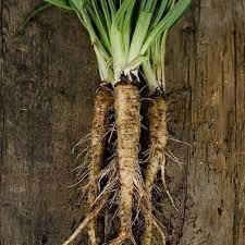 suttons seeds and plants Suttons Heirloom Vegetable Seeds Collection for Home Garden Planting