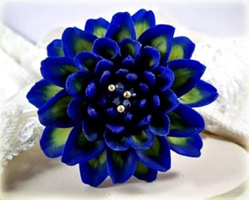 Flower Seeds, Seeds for Planting, Plant Seeds