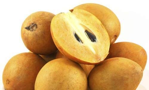 Sapodilla Chikoo Fruit Seeds for Garden Planting | Non-GMO, Tropical Fruit Variety