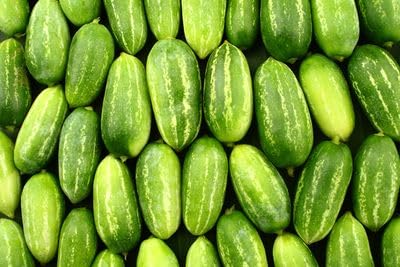 Ivy Gourd Seeds for Planting – Organic Climbing Vegetable Vine for Home Garden & Backyard Farming