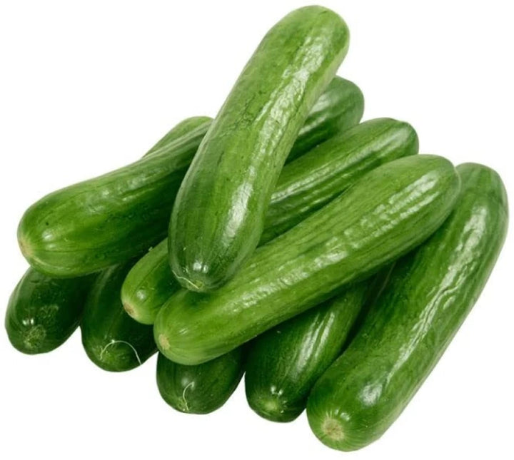 Arola Organic Cucumber Seeds for Planting – Heirloom, Non-GMO, High Germination Vegetable Garden Seeds