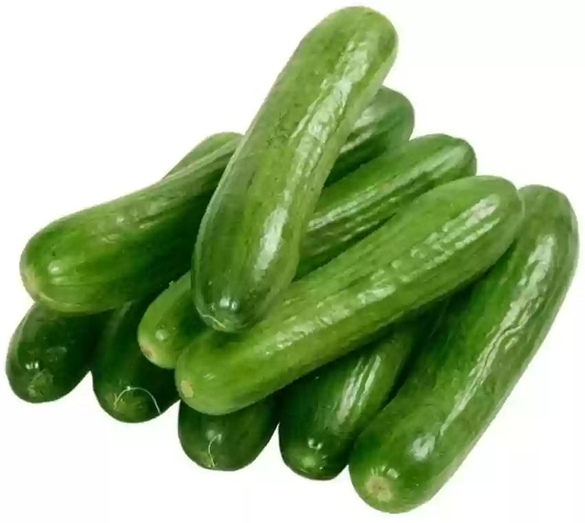 Arola Organic Cucumber Seeds for Planting – Heirloom, Non-GMO, High Germination Vegetable Garden Seeds