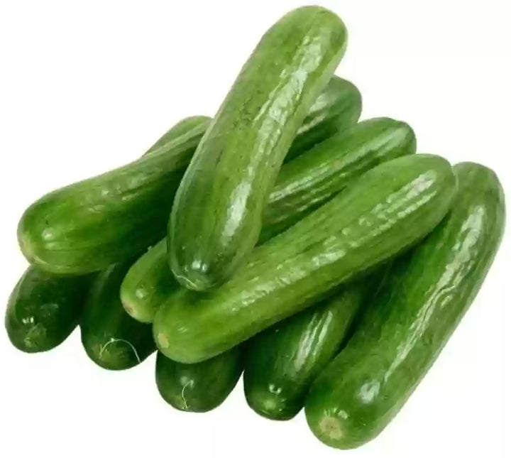Arola Organic Cucumber Seeds for Planting – Heirloom, Non-GMO, High Germination Vegetable Garden Seeds