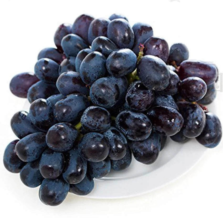 Actinidia Polygama Jaboticaba Black Brazilian Grape Fruit Seeds for Planting – Heirloom Non-GMO High Germination Seeds