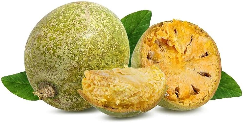 Yellow Aegle Marmelos Fruit Seeds – Heirloom & Non-GMO Seeds for Aromatic Bael Fruits in Your Home Orchard