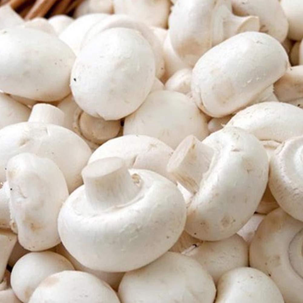 White Mushroom Button Vegetable Seeds for Planting – Heirloom, Non-GMO, High Germination, Organic Garden Seeds