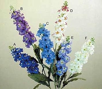 Flower Seeds, Seeds for Planting, Plant Seeds