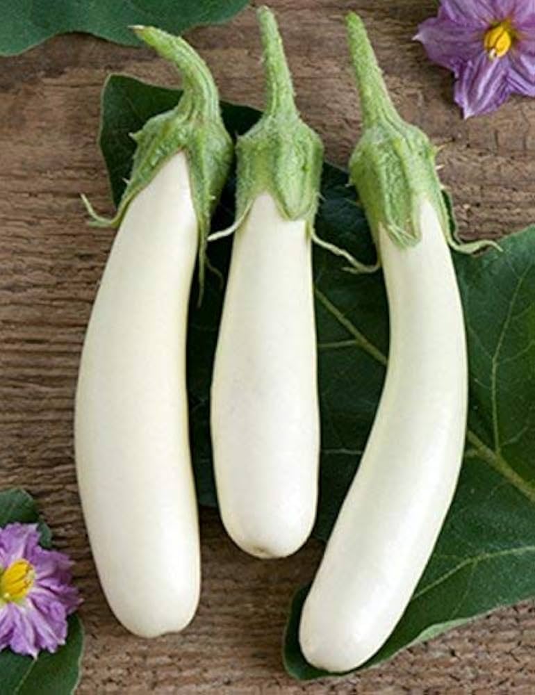 Brinjal Eggplant F1 White Long Seeds for Planting – Heirloom, Non-GMO, High Germination Organic Vegetable Seeds
