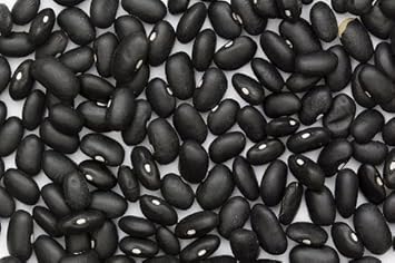 Vegetable Seeds, Seeds for Planting, Plant Seeds