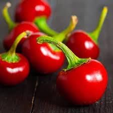 Vegetable Seeds, Seeds for Planting, Plant Seeds