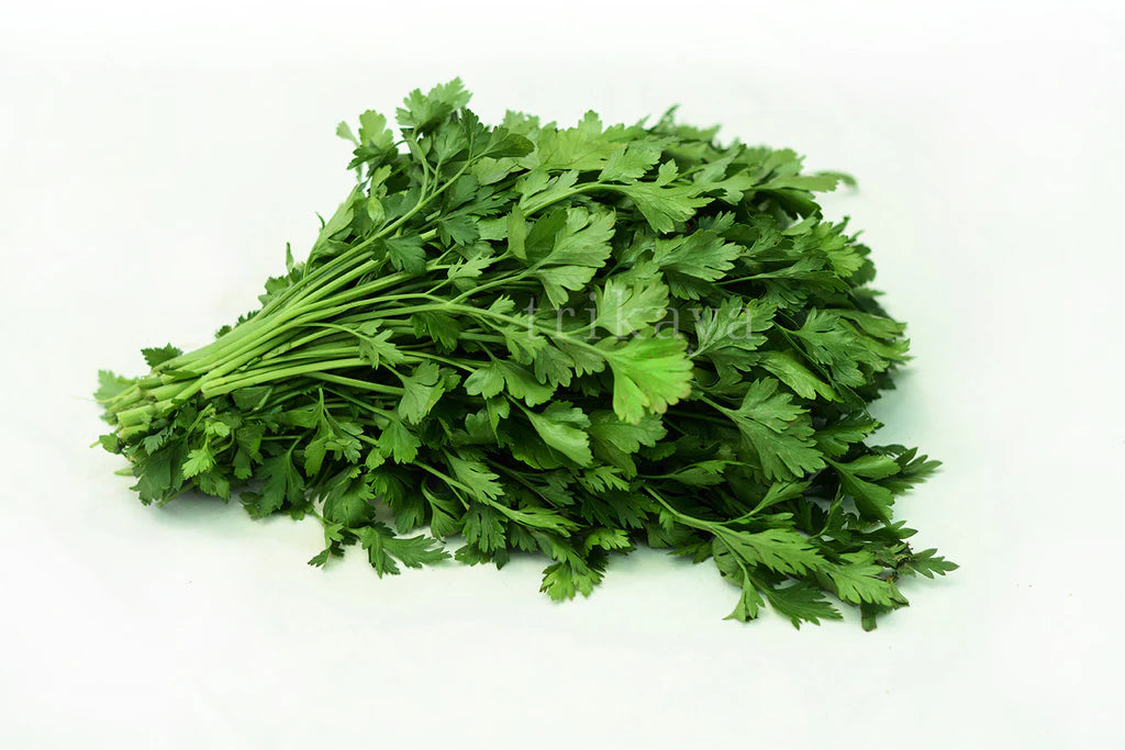 Italian Parsley Herb Seeds for Planting - Non-GMO and Heirloom seeds for home garden