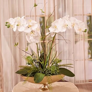Flower Seeds, Seeds for Planting, Plant Seeds
