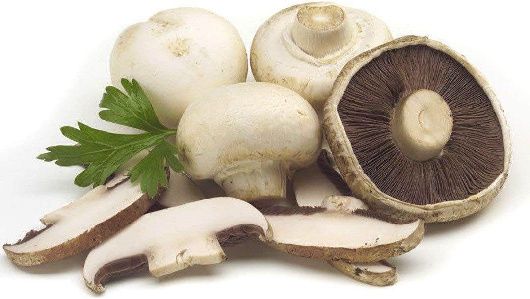 mushroom plant seeds Cream Mushroom Seeds for Planting – Heirloom, Non-GMO, Organic Garden  Seeds, High Germination