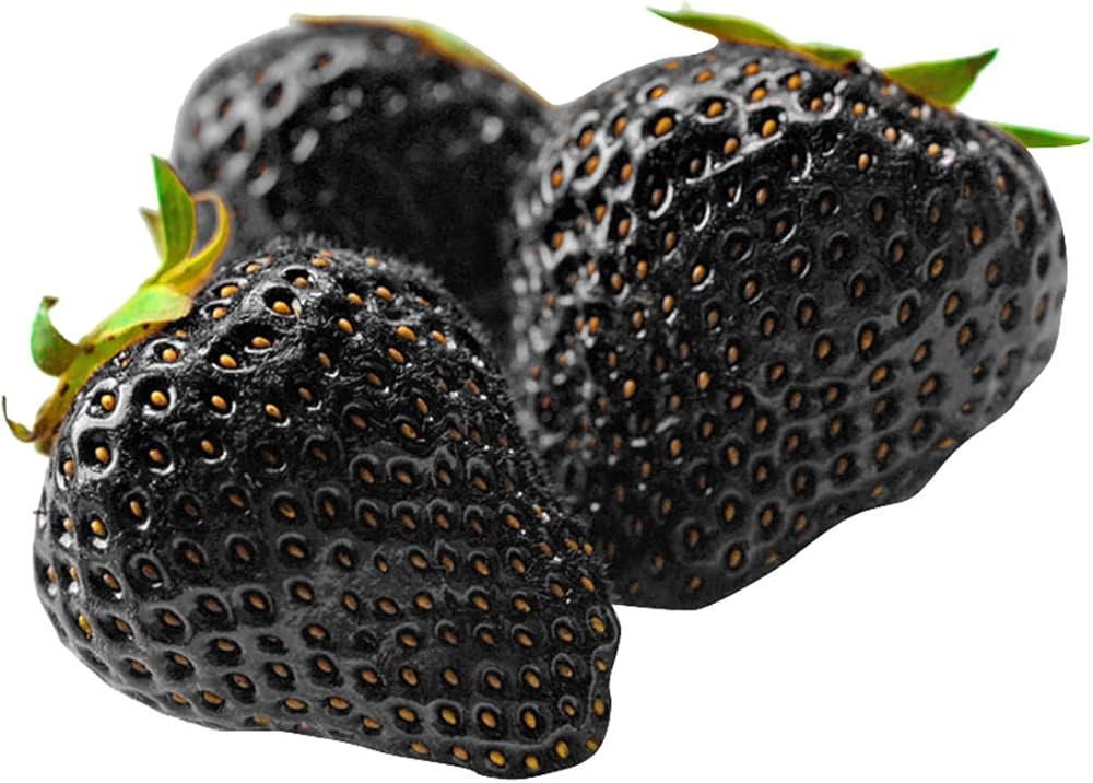 Black Strawberry Fruit Seeds for Planting – Sweet, Juicy Berries for Gardens, Heirloom & Non-GMO, High Germination