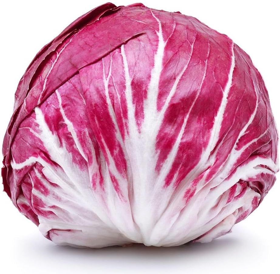 planting radicchio seeds Heirloom Non-GMO Radicchio Seeds for Planting – Organic Garden Seeds with  High Germination