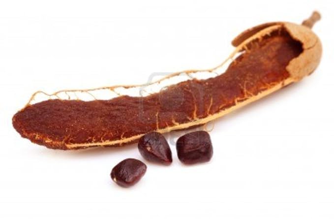 Tamarind Indica Seeds – Heirloom, Non-GMO Fruit Seeds for Garden Planting