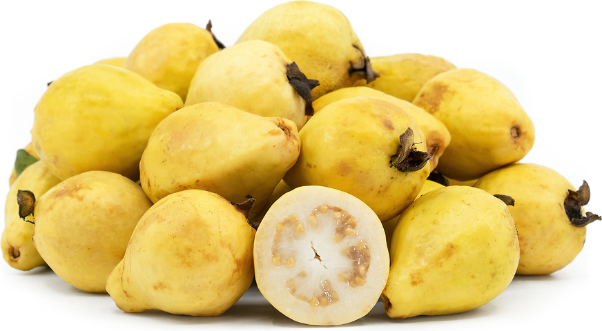 Yellow Mexican Cream Guava Fruit Seeds for Planting – Sweet Tropical Guavas, Heirloom & Non-GMO Seeds