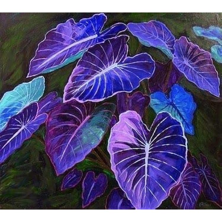 Caladium Bicolor Blue Flower Seeds for Planting – Heirloom, Non-GMO, High Germination Organic Garden Seeds