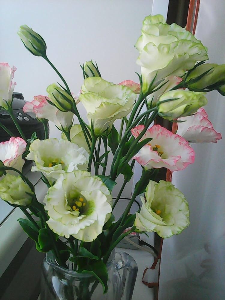 Yellow Lisianthus Flower Seeds for Planting – Heirloom Non-GMO, High Germination Organic Garden Seeds, Long-Lasting Blooms