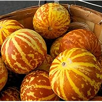 Breast Melon Plant Seeds for Planting – Sweet & Refreshing Fruits, Heirloom & Non-GMO Seeds for Home Garden