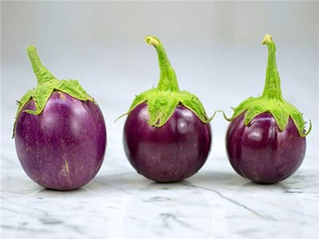 Vegetable Seeds, Seeds for Planting, Plant Seeds