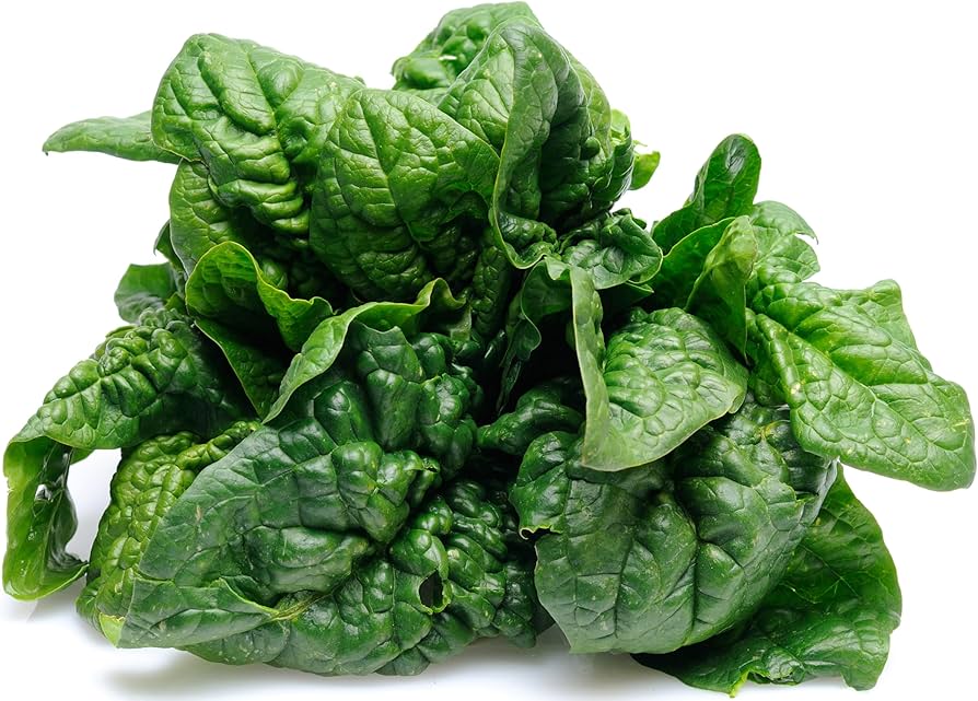 Bloomsdale Long Standing Spinach Seeds for Planting – Heirloom, Non-GMO, High Germination Organic Vegetable Seeds