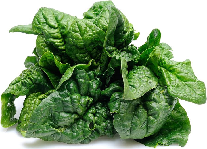 Bloomsdale Long Standing Spinach Seeds for Planting – Heirloom, Non-GMO, High Germination Organic Vegetable Seeds