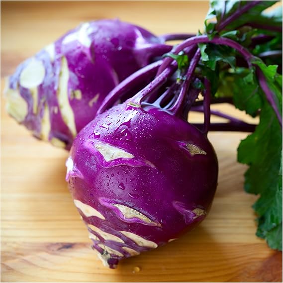 Kohlrabi Purple Vienna Seeds for Planting – Heirloom, Non-GMO, Fast-Growing Cool-Season Vegetable