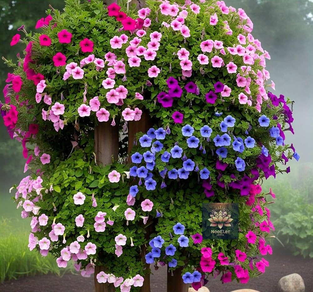 petunia plant seeds Yellow Petunia Mixed Color Hanging Petunia For Beautiful Seasonal Flowers Flower Seeds – Neeraseeds