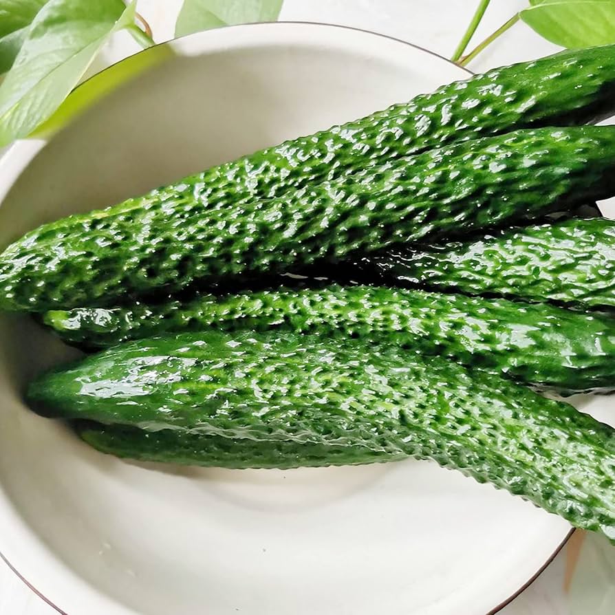 Japanese Long Cucumber Seeds for Planting – Heirloom, Non-GMO, High Germination Organic Garden Seeds for Crisp & Flavorful Harvests