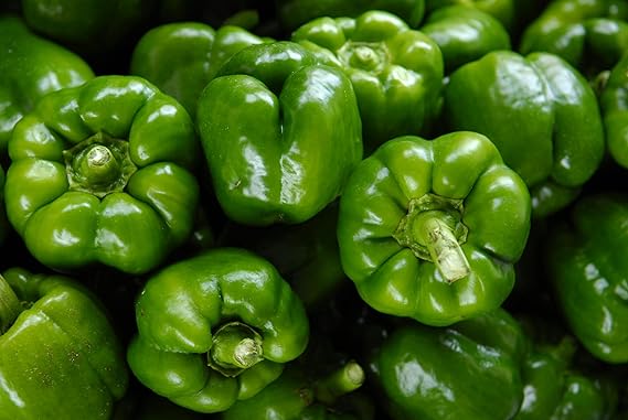 Bell Pepper California Wonder Seeds – High Yield, Sweet & Crisp Heirloom Variety