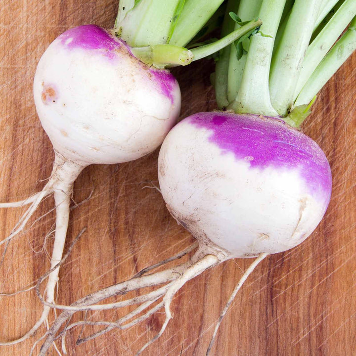 Rutabaga American Purple Seeds – Heirloom, High-Yield Root Vegetable for Home Gardens