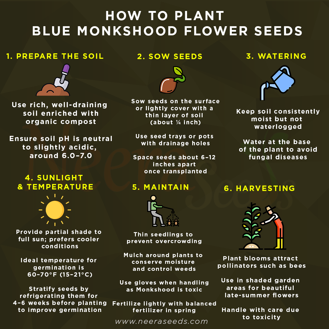 Blue Monkshood Flower Seeds for Planting – Rare Perennial Garden Blooms