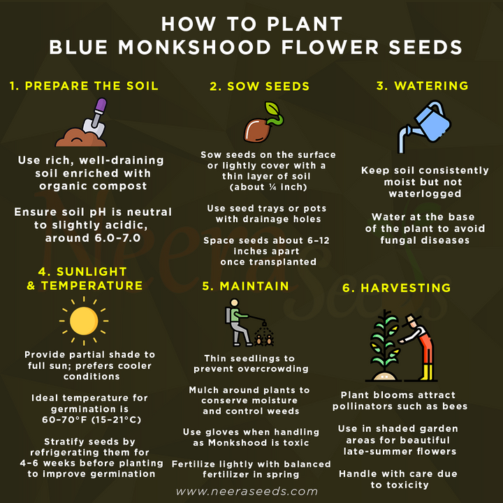 Blue Monkshood Flower Seeds for Planting – Rare Perennial Garden Blooms